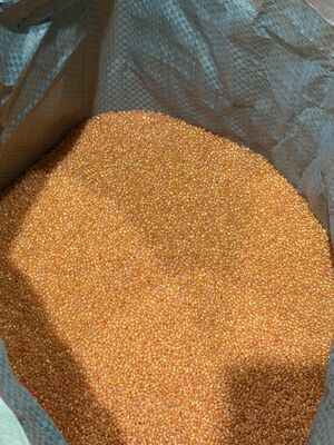 Poliuretano termoplástico (TPU) de color naranja a juego, estable en color y fácil de procesar para equipamiento deportivo, fundas de teléfono